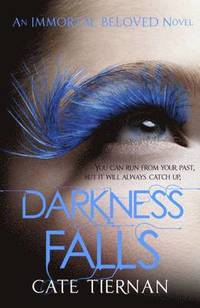 bokomslag Darkness Falls