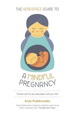 Andy Puddicombe - Headspace Guide To...A Mindful Pregnancy, Häftad
