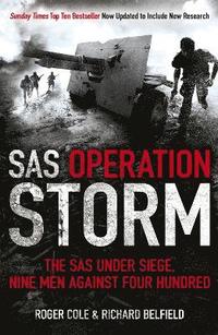 bokomslag SAS Operation Storm