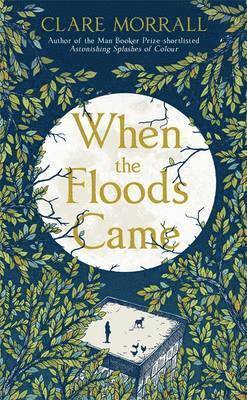 Clare Morrall - When the Floods Came, Häftad