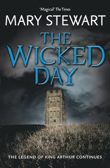 bokomslag The Wicked Day