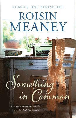 Roisin Meaney - Something in Common, Häftad