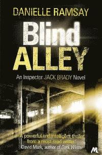 bokomslag Blind Alley