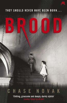 Brood 1