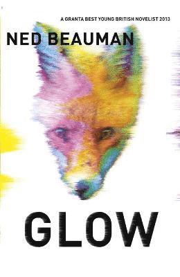 bokomslag Glow