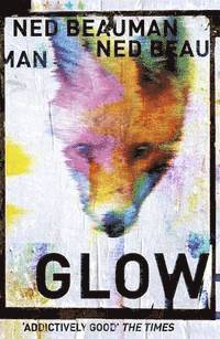 bokomslag Glow