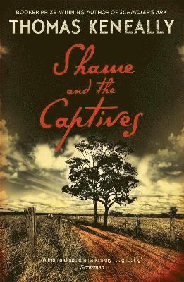 Shame and the Captives 1