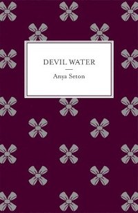 bokomslag Devil Water