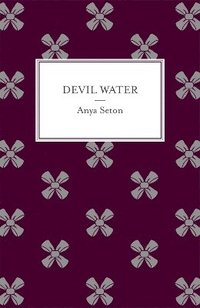 bokomslag Devil Water