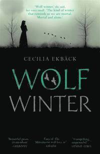 bokomslag Wolf Winter