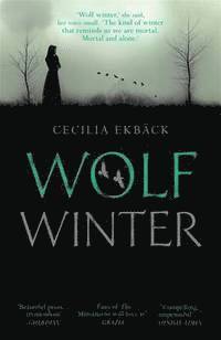 Cecilia Ekbäck - Wolf Winter, Häftad