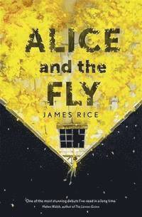 Alice and the Fly 1