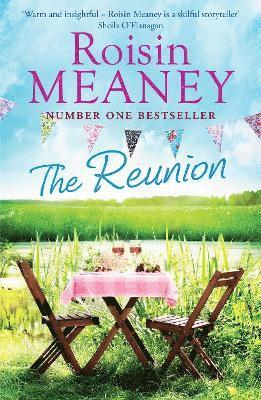 Roisin Meaney - Reunion, Häftad