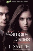 L.J. Smith - Vampire Diaries: The Fury, Häftad