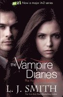 The Vampire Diaries: The Fury 1