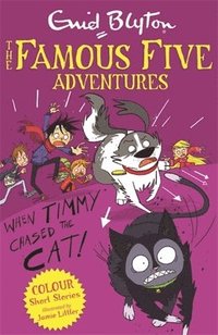 bokomslag Famous Five Colour Short Stories: When Timmy Chased the Cat