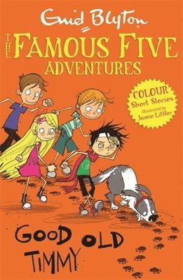 bokomslag Famous Five Colour Short Stories: Good Old Timmy