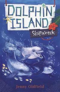 bokomslag Dolphin Island: Shipwreck