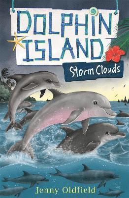 Jenny Oldfield - Dolphin Island: Storm Clouds, Häftad
