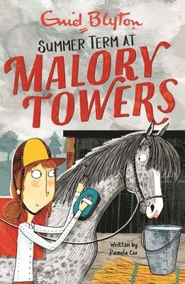 bokomslag Malory Towers: Summer Term