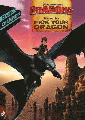 Dreamworks: How to Pick Your Dragon