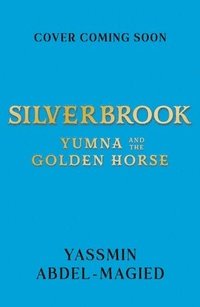 bokomslag Silverbrook