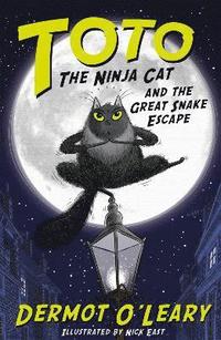 bokomslag Toto the Ninja Cat and the Great Snake Escape