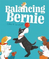 bokomslag Balancing Bernie