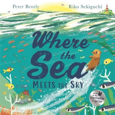 Peter Bently - Where the Sea Meets the Sky, Häftad