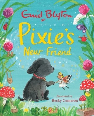 Enid Blyton - Pixie's New Friend, Inbunden