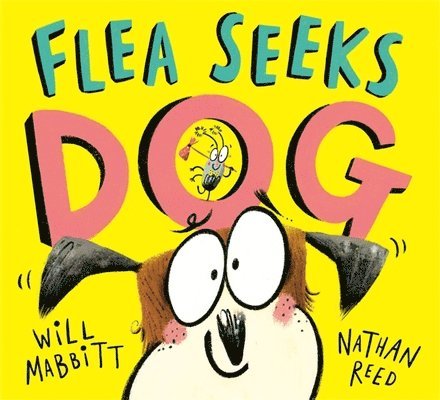 Will Mabbitt - Flea Seeks Dog, Häftad