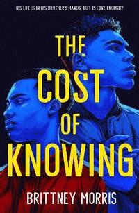 bokomslag The Cost of Knowing