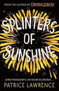 bokomslag Splinters of Sunshine