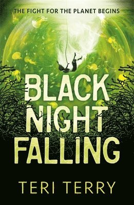 Teri Terry - Black Night Falling, Häftad
