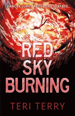 Teri Terry - Red Sky Burning, Häftad