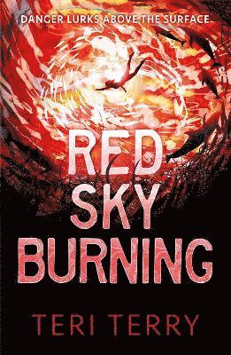 bokomslag Red Sky Burning