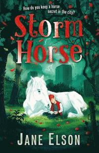 bokomslag Storm Horse