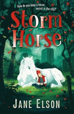 Jane Elson - Storm Horse, Häftad