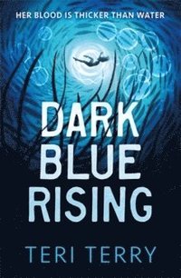 bokomslag Dark Blue Rising