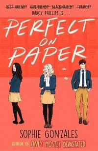 bokomslag Perfect On Paper