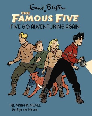 bokomslag Famous Five Graphic Novel: Five Go Adventuring Again