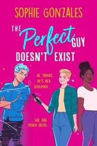 bokomslag The Perfect Guy Doesn't Exist