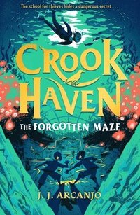 bokomslag Crookhaven: The Forgotten Maze