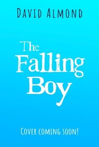 bokomslag Falling Boy