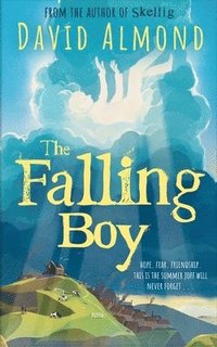 bokomslag Falling Boy