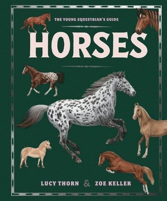 Lucy Thorn - Horses, Inbunden