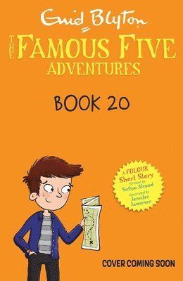 bokomslag Famous Five Colour Short Stories: The Lost Kittens