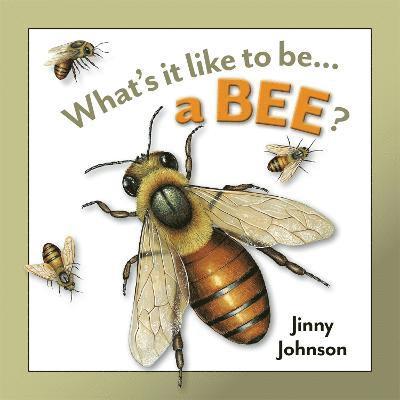 What's It Like to Be: A Bee? 1