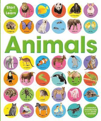 bokomslag Start To Learn: Animals