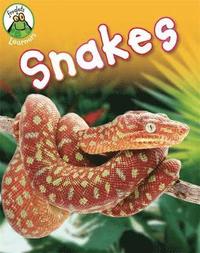 bokomslag Froglets: Learners: Snakes